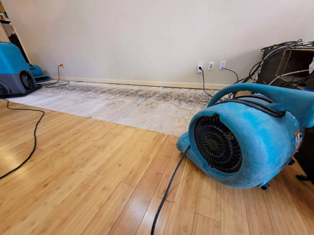 Professional Water Damage Repair technician working in Glendale, CA